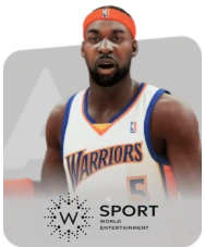 WORLD ENTERTAINMENT SPORT